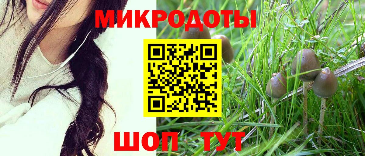 Псилоцибиновые грибы GOLDEN TEACHER Заволжье