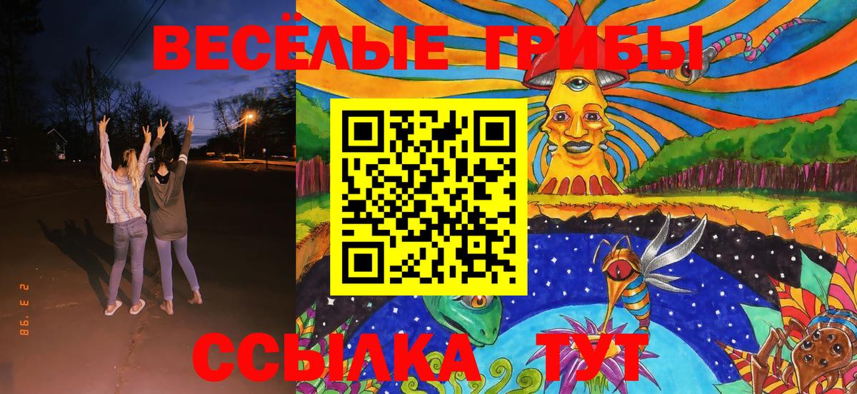 Заволжье  Галлюциногенные грибы Psilocybe  Псилоцибиновые грибы Psilocybe  Вход с VPN 