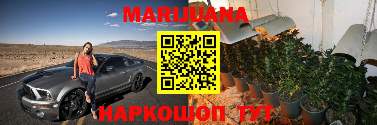 Бошки марихуана OG Kush Заволжье